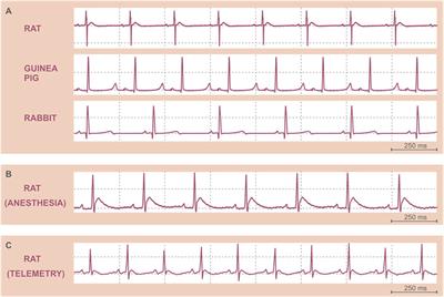 Golden Standard or Obsolete Method? Review of ECG Applications in Clinical and Experimental Context